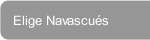 Elige Navascués