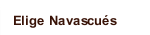 Elige Navascués